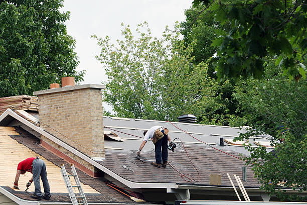 Best Roof Gutter Cleaning  in Wellsville, MO